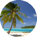 Paradise Heating & Cooling